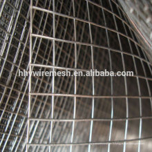 Fil d&#39;acier inoxydable cage d&#39;oiseau soudé mesh de vente en ligne alibaba
